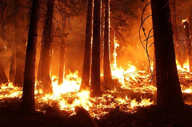 Climate Change